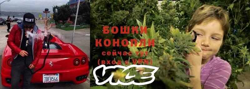 Шишки марихуана OG Kush  Рославль 